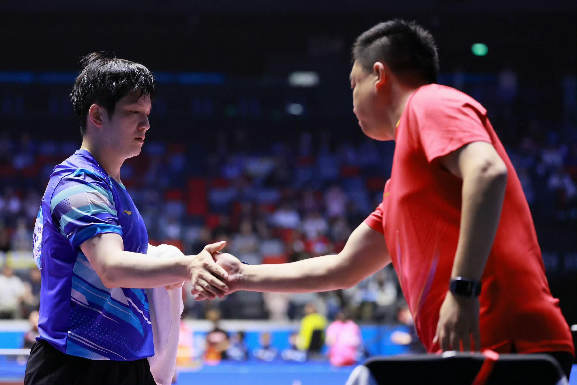 开云体育平台APP-奥地利队翻盘德国队，樊振东扛起全队