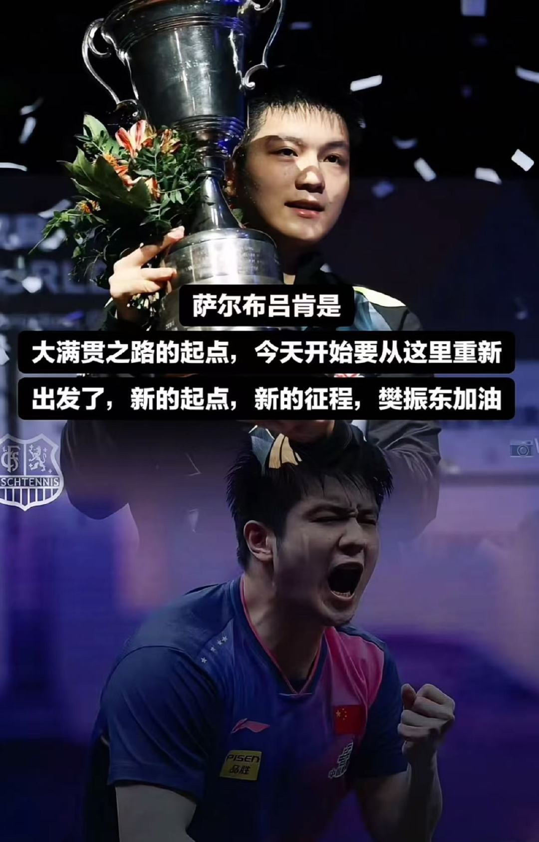 开云体育中国-奥地利队绝杀德国队，樊振东扛起全队