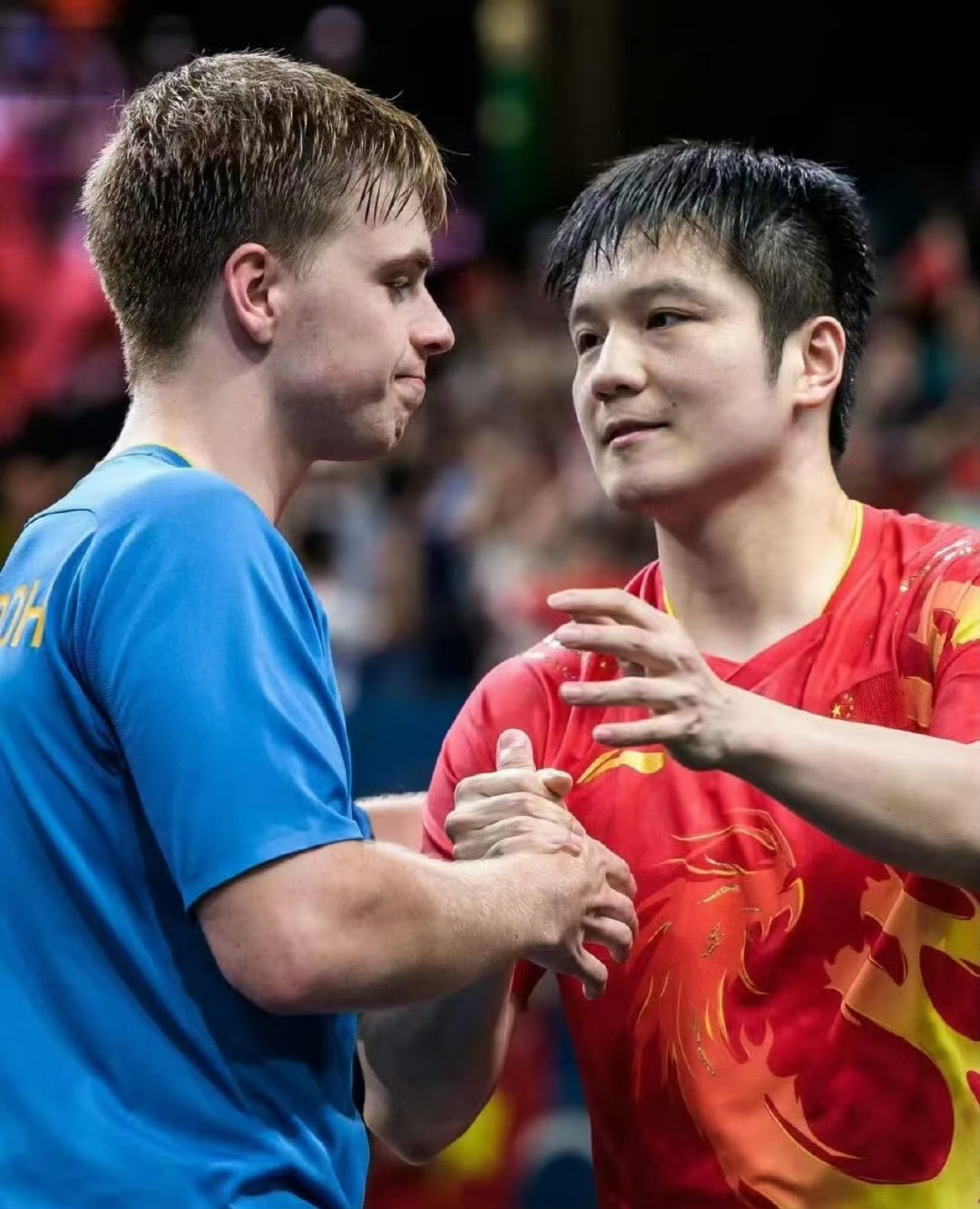 奥地利队绝杀德国队，樊振东扛起全队