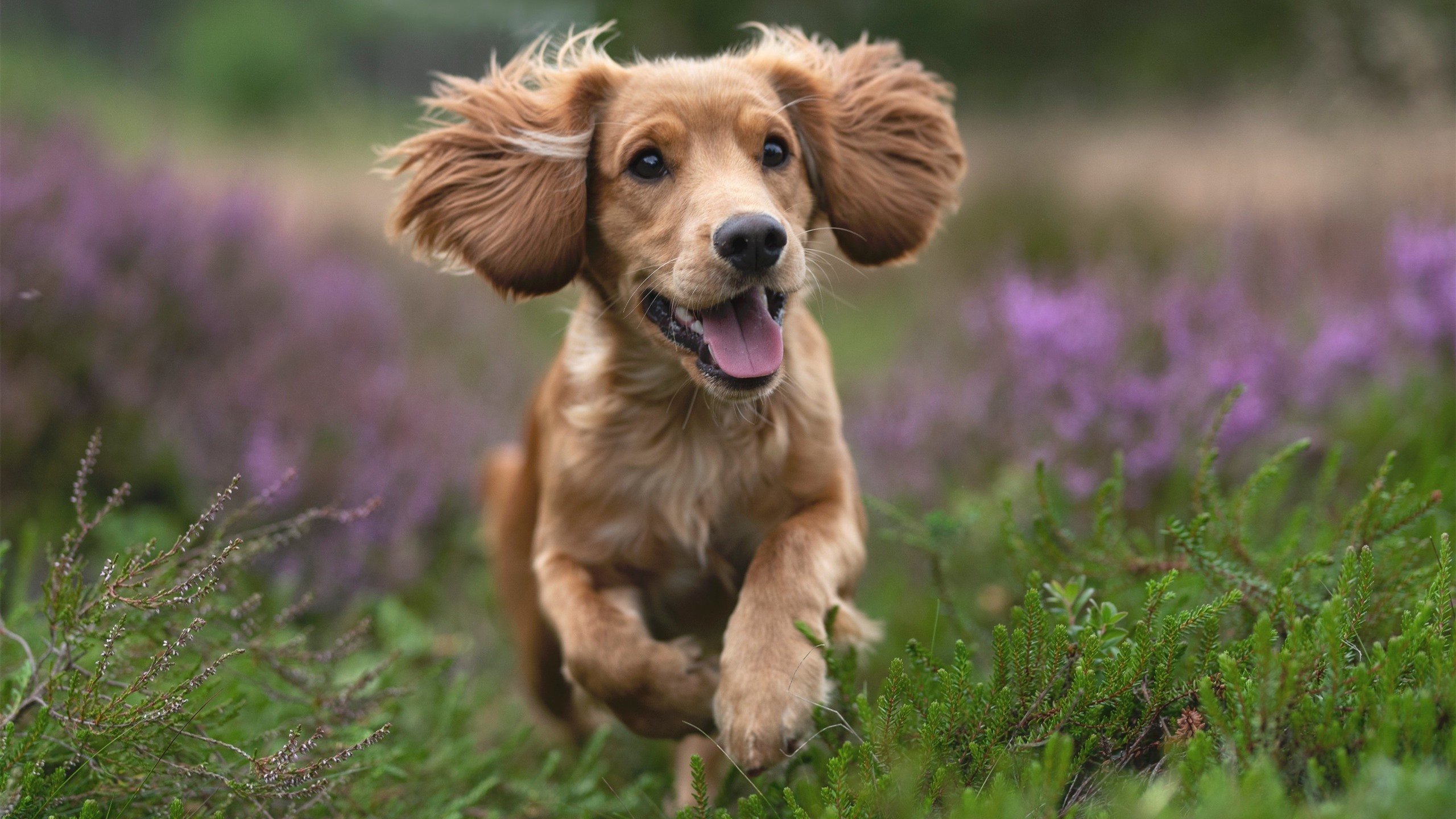 开云体育登录-绿茵场上的篮球巨星，欧冠决赛之夜，西亚卡姆在篮球圣殿加冕