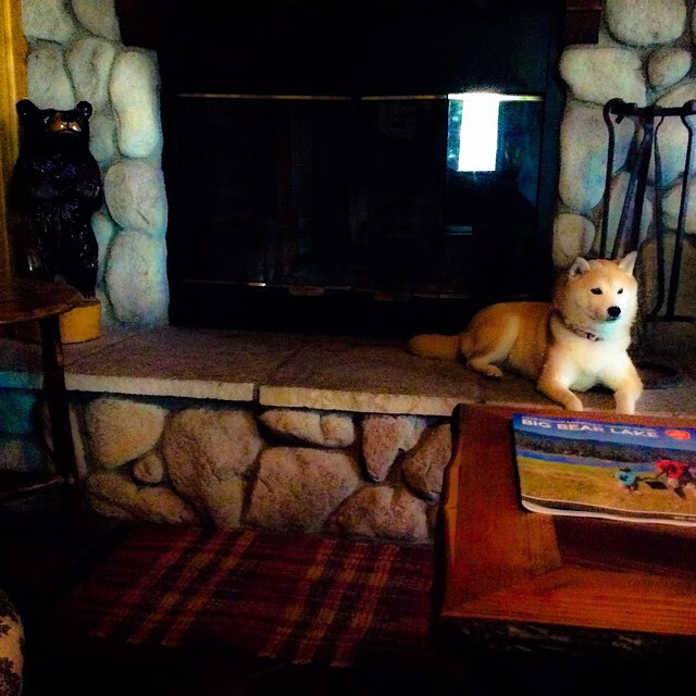 欧冠赛场上的西决生死战，巴黎圣日耳曼如何稳稳拿下切尔西