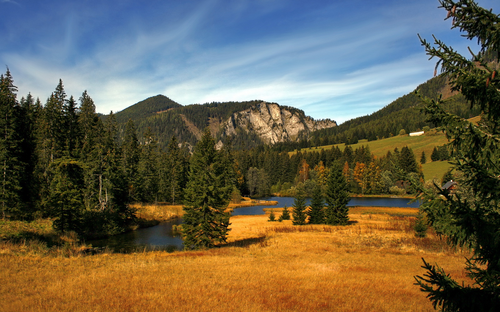 数据爆炸夜！利拉德超神表现竟与尼克斯绝杀广东队有惊人关联？