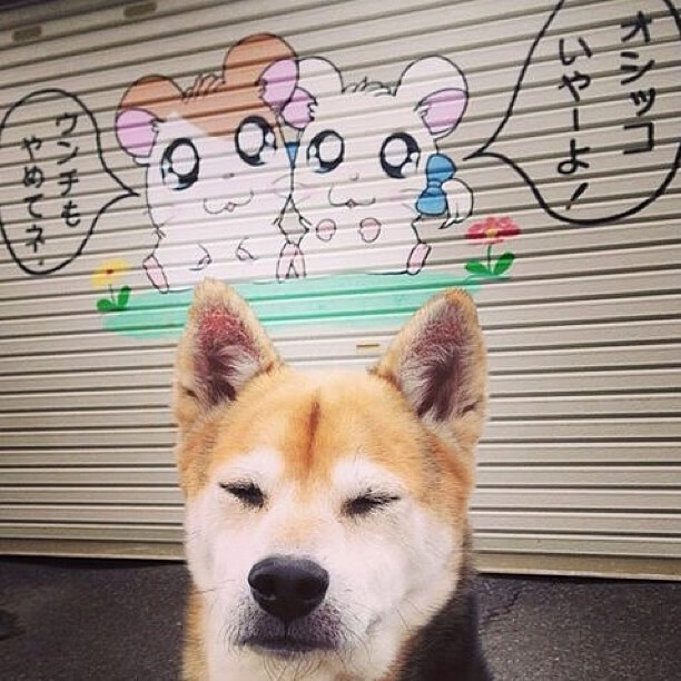 开云体育-征服安联，久保建英用一场比赛重新定义亚洲足球的天花板