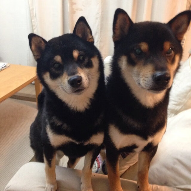 跨界接管，从76人的硬仗胜利到德罗赞的F1赛道传奇