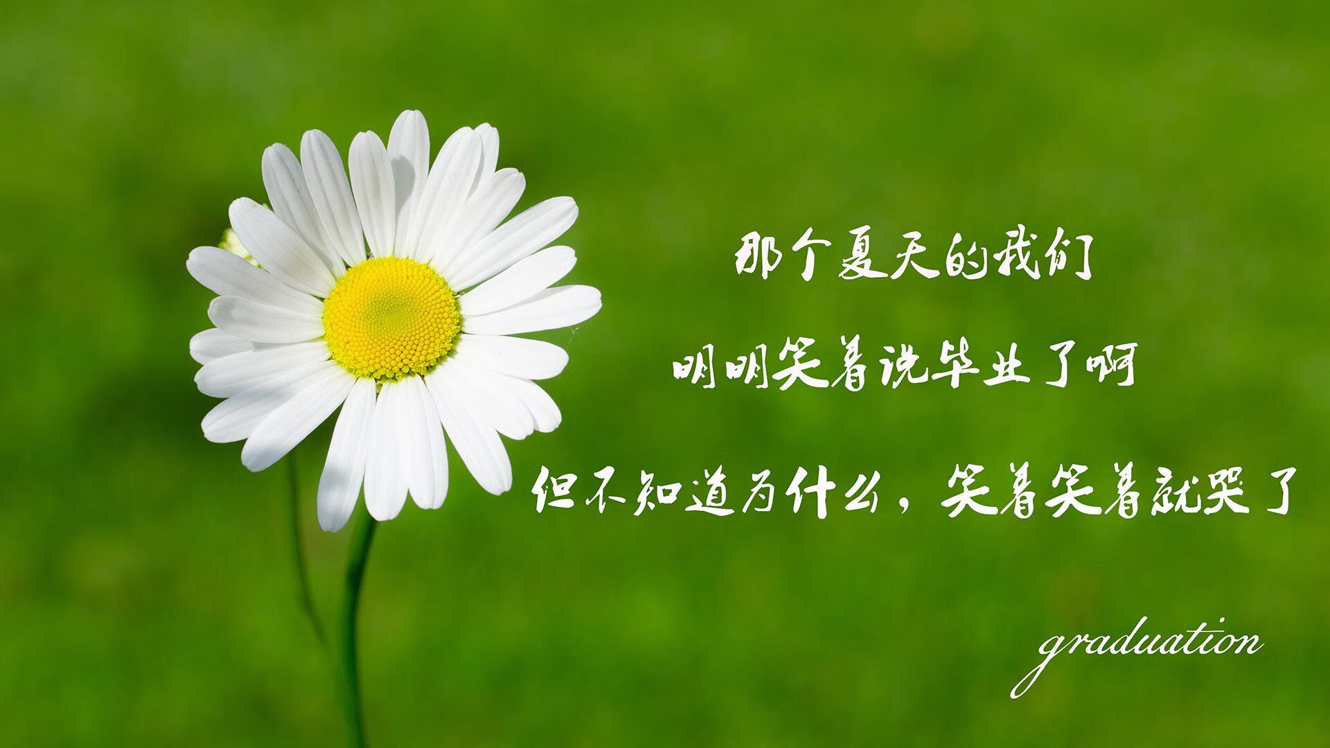 开云体育中国-胜利的舞台，哈利伯顿的独奏，篮网惊险击溃步行者的背后