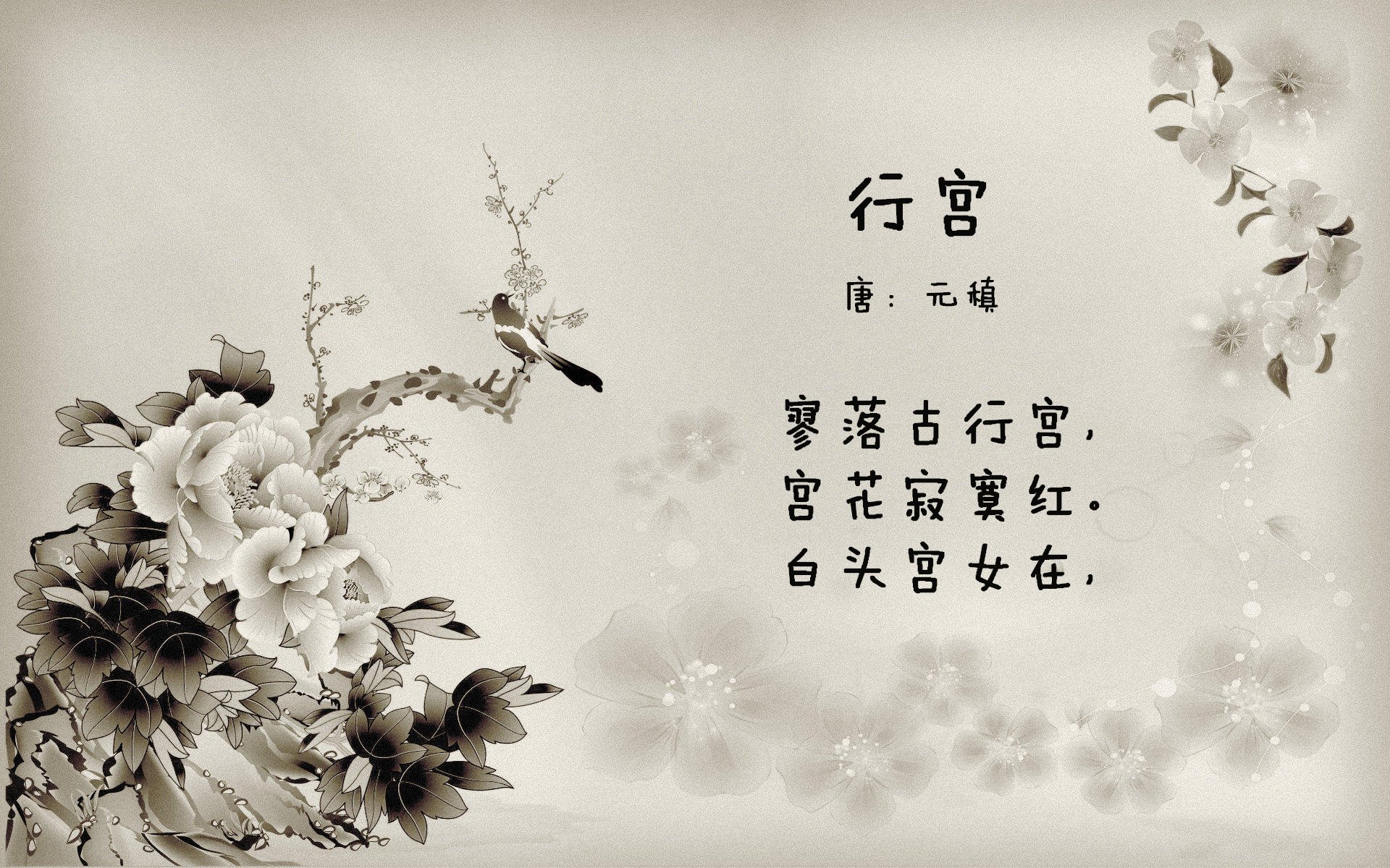 风暴眼，国家德比夜，切特的关键回合定律