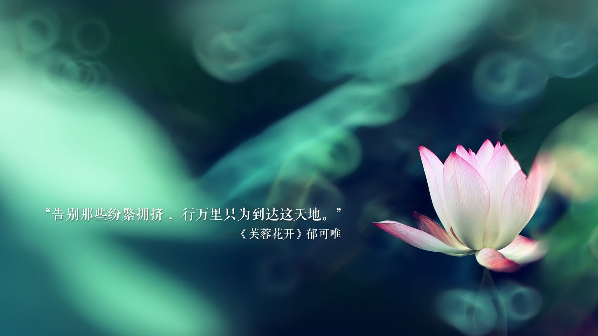 若日尼奥的火热脚尖,量出了喀麦隆爆冷的多特蒙德式体温—一次关于足球世界体温失衡的寓言