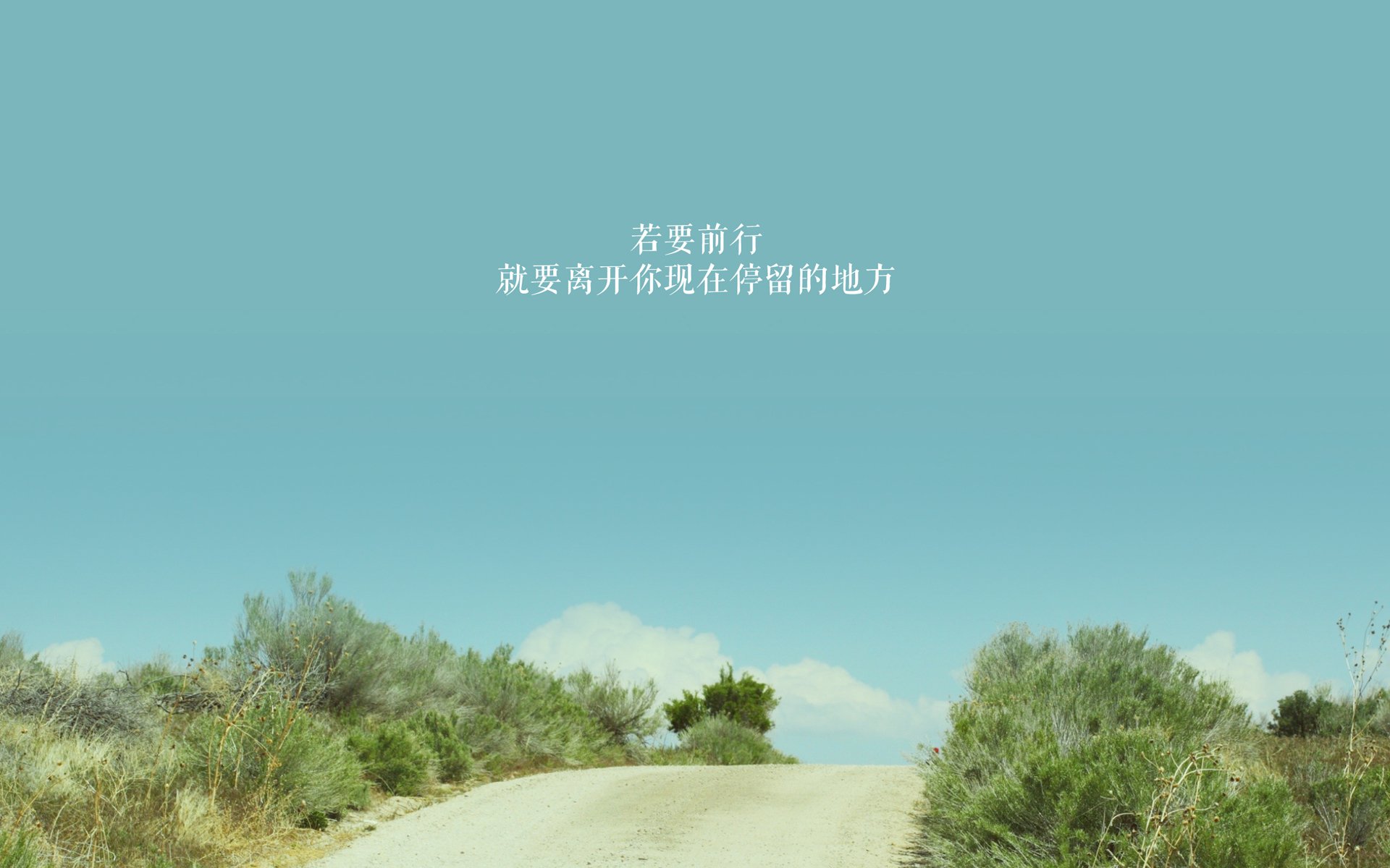 开云体育2026-一个北方游侠的独白，当B费的血性与保加利亚玫瑰，在卡塔尔的沙砾中绽放