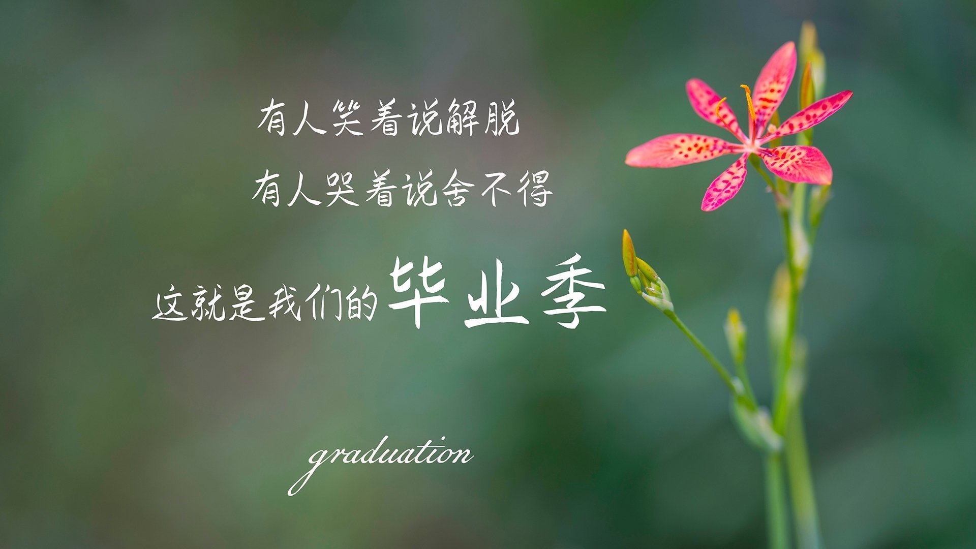 开云体育在线-绝杀与闪耀，2026世界杯B组生死战，蓝武士的瞬间与非洲之星的永恒