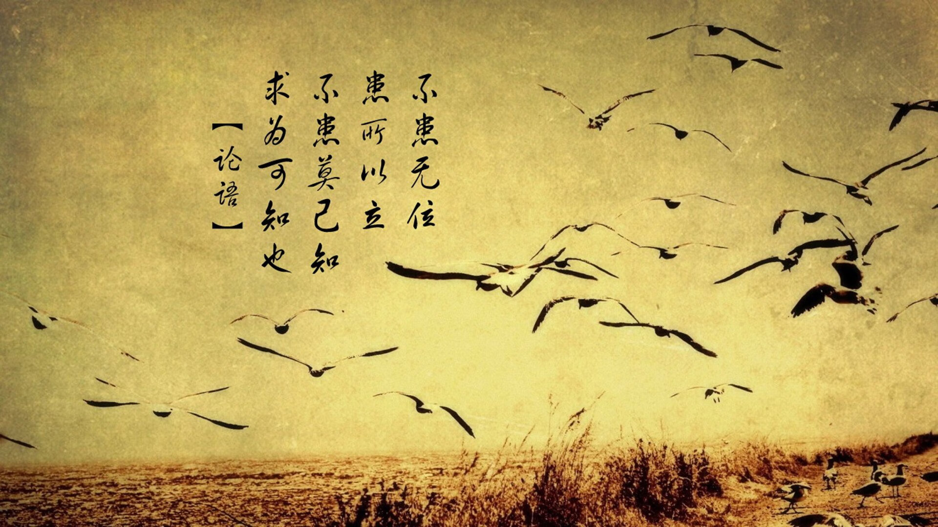 窒息的艺术,当迦太基之盾碾碎安第斯之矛—奥斯梅恩的独角戏与突尼斯式胜利的极致辩证